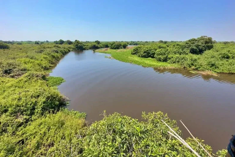 Tonle Sap