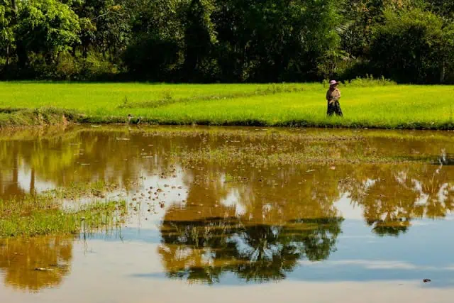 water management