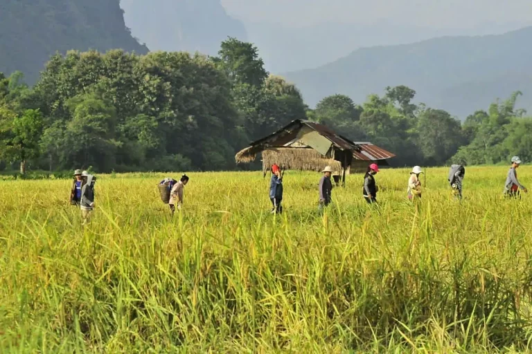 agriculture south east asia